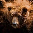 SUPERYUPO PLUS Avatar EN