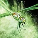 YUPO TRANSLUCENT Avatar EN