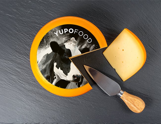 YUPO Application Example YUPOFood | label on cheese